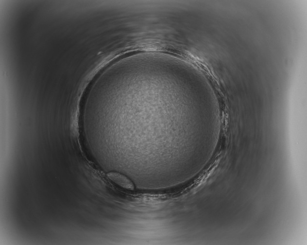 X0000088850292200706081140