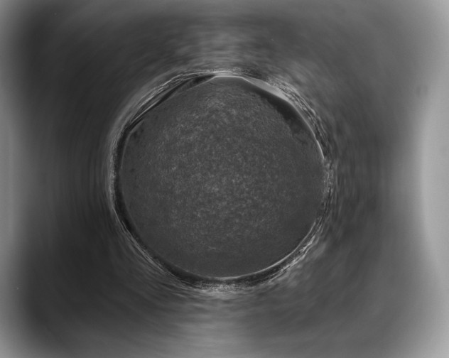 X0000088850293200706081140