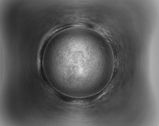 X0000088850294200706081139