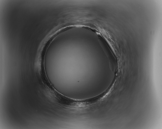 X0000088850295200706081139