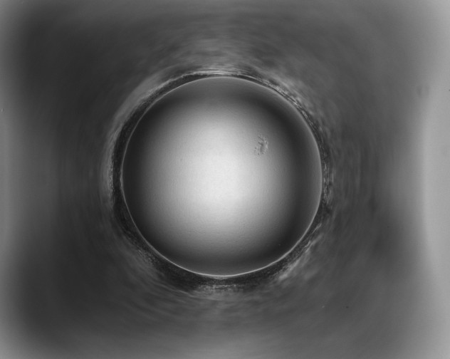 X0000088850296200706081139