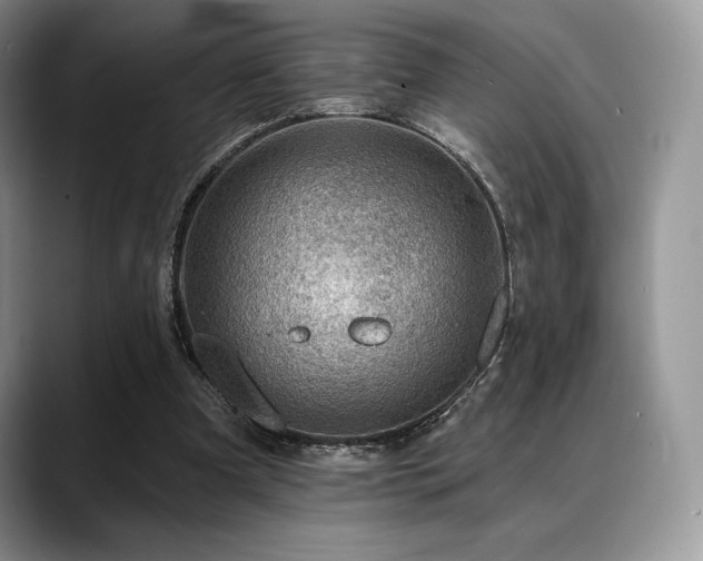 X0000088850297200706081139