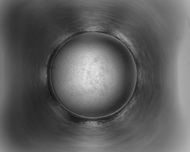 X0000088850298200706081139
