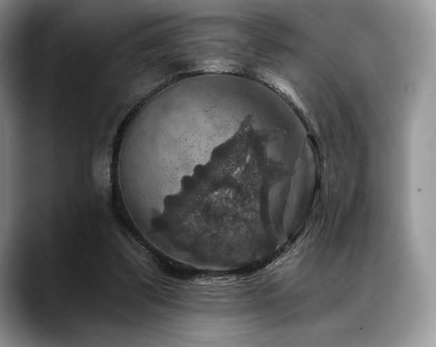 X0000088850299200706081139