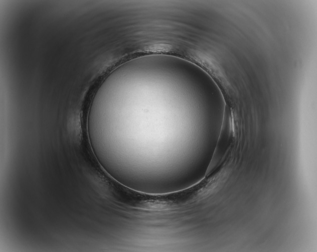X0000088850300200706081139