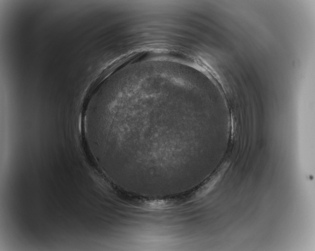 X0000088850301200706081139