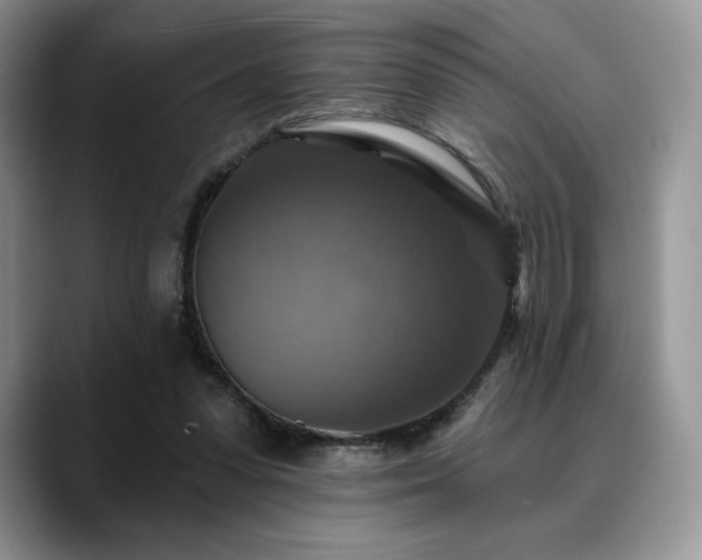 X0000088850303200706081139