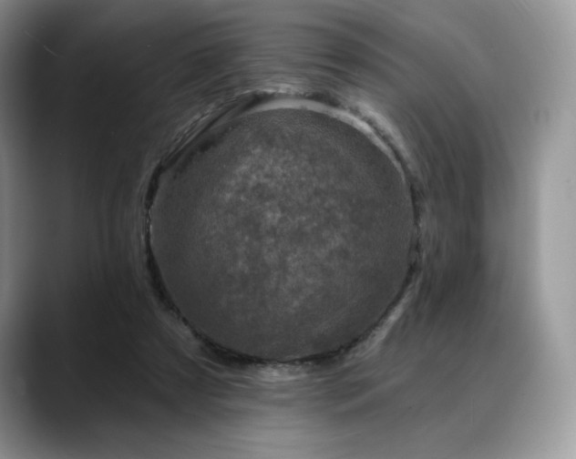 X0000088850305200706081139