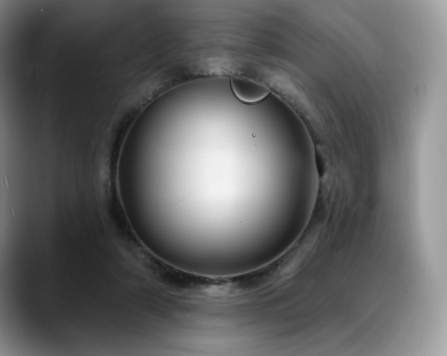 X0000088850306200706081139