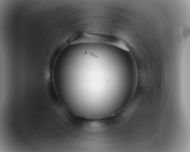 X0000088850310200706081139