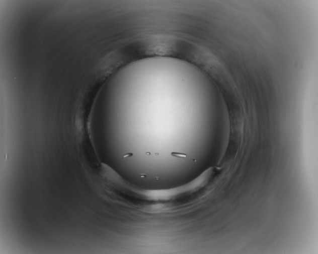 X0000088850312200706081139