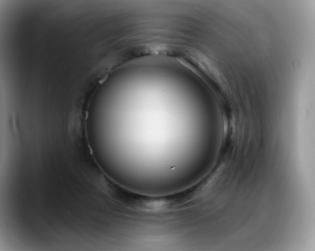 X0000088850313200706081139