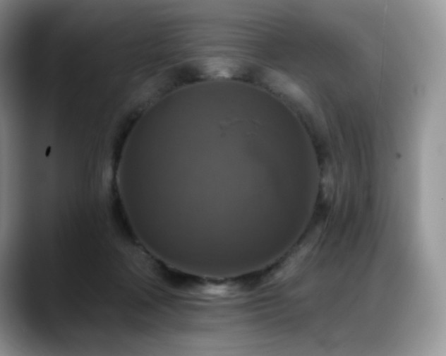 X0000088850314200706081139