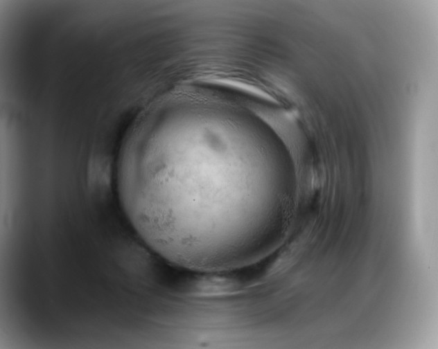 X0000088850315200706081139