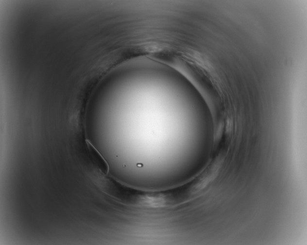 X0000088850317200706081139