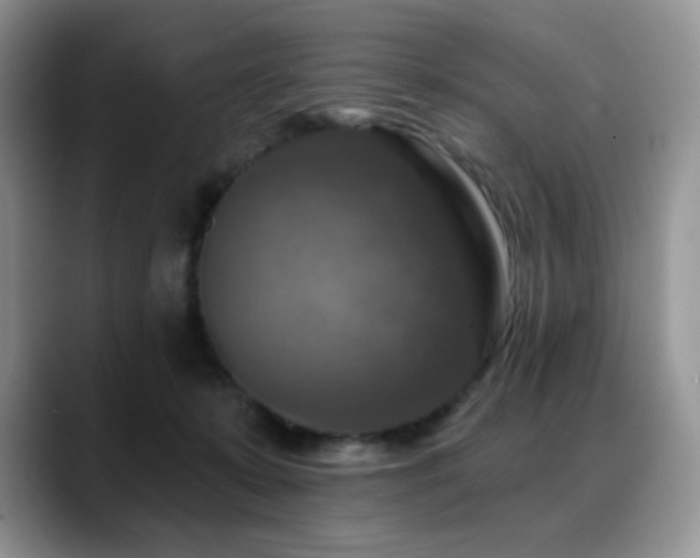 X0000088850319200706081139
