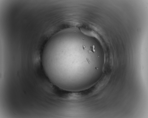 X0000088850320200706081139