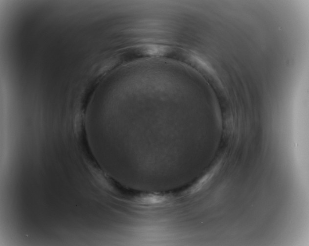X0000088850325200706081139