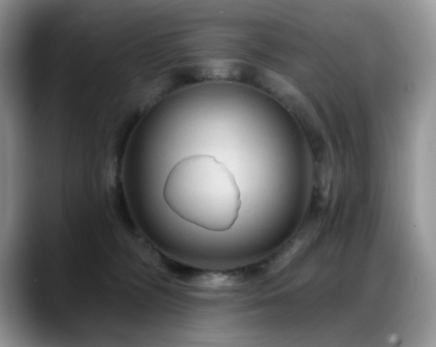 X0000088850326200706081139