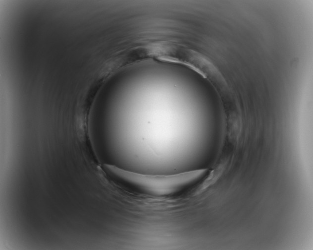 X0000088850329200706081139