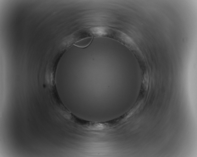 X0000088850330200706081139