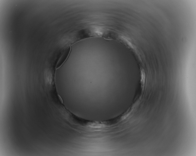 X0000088850331200706081139