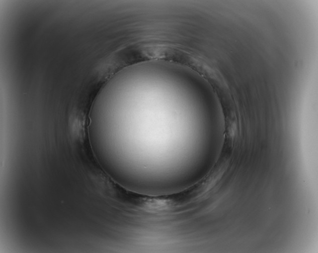 X0000088850332200706081139