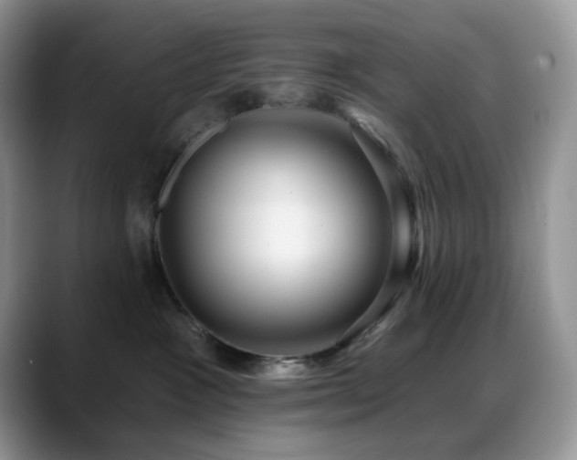 X0000088850333200706081139