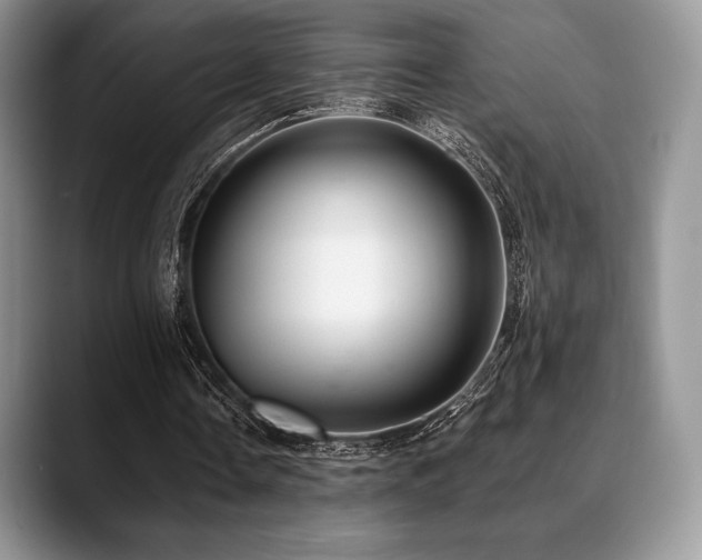 X0000088850338200706081138