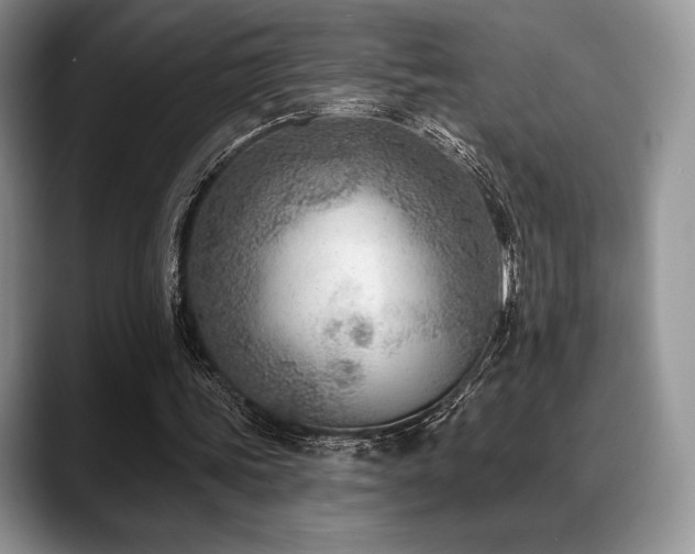 X0000088850339200706081138
