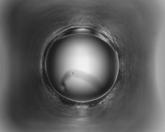X0000088850340200706081138