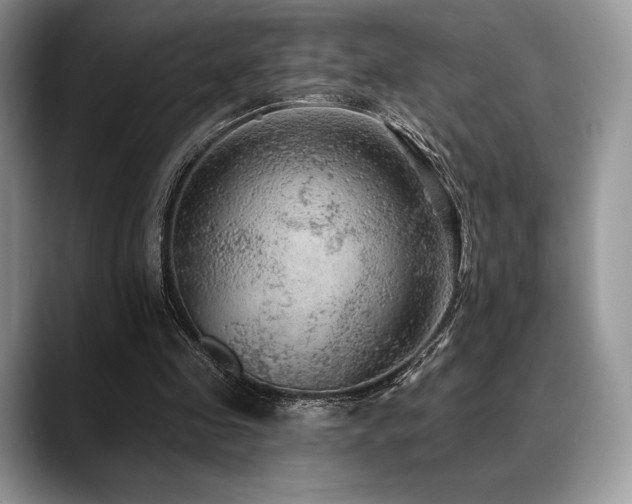 X0000088850341200706081139