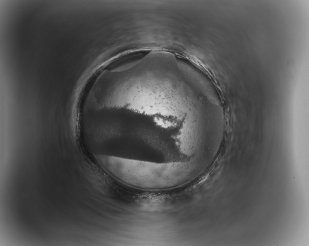 X0000088850343200706081139