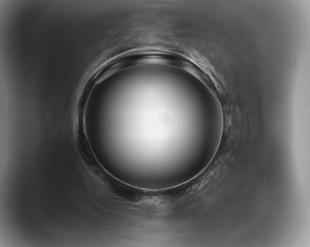 X0000088850344200706081139