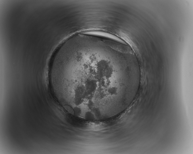 X0000088850346200706081139