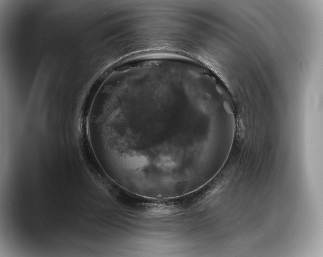 X0000088850347200706081139