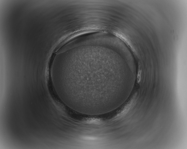 X0000088850348200706081139
