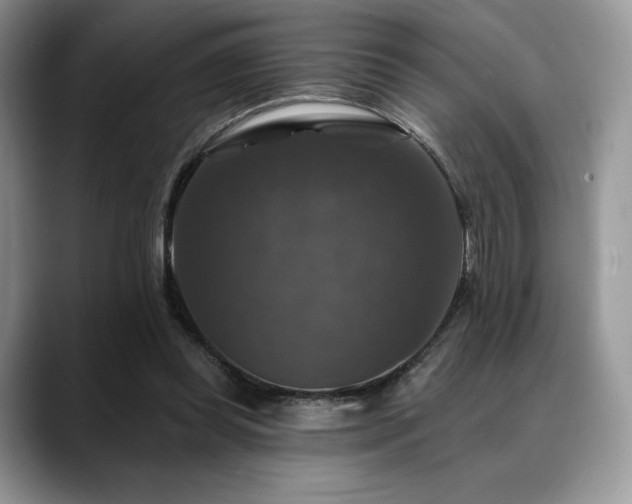 X0000088850349200706081139