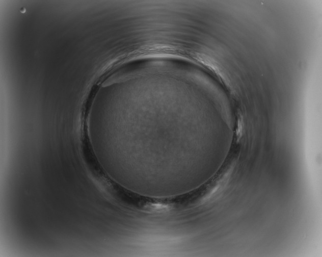 X0000088850352200706081139