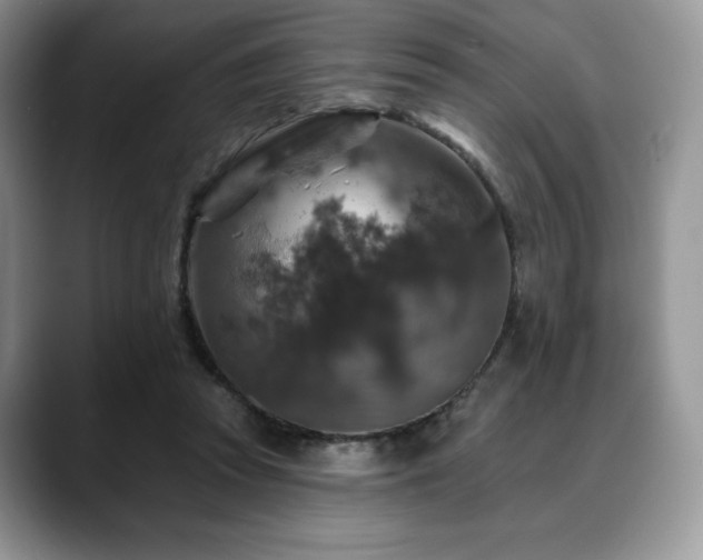 X0000088850353200706081139