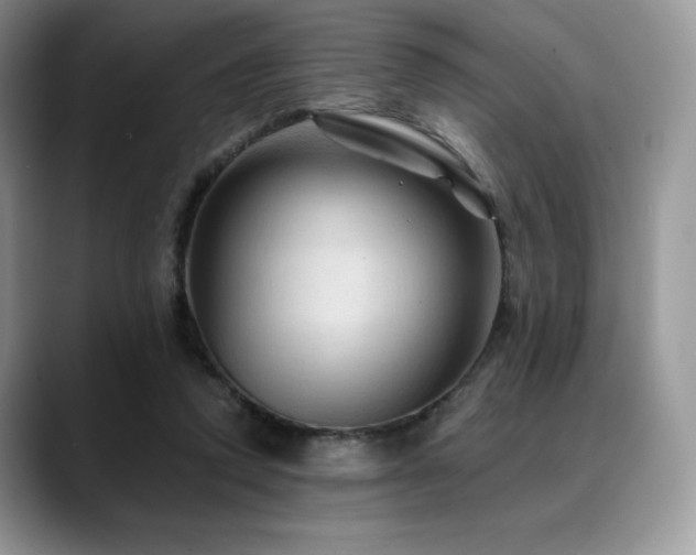 X0000088850354200706081139