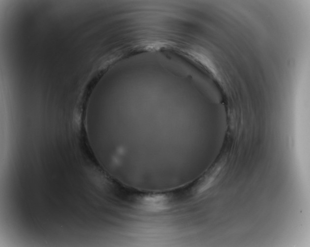 X0000088850357200706081139