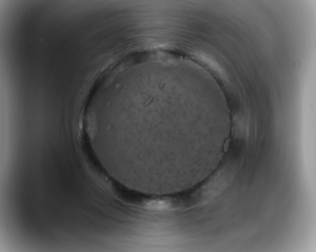X0000088850358200706081139