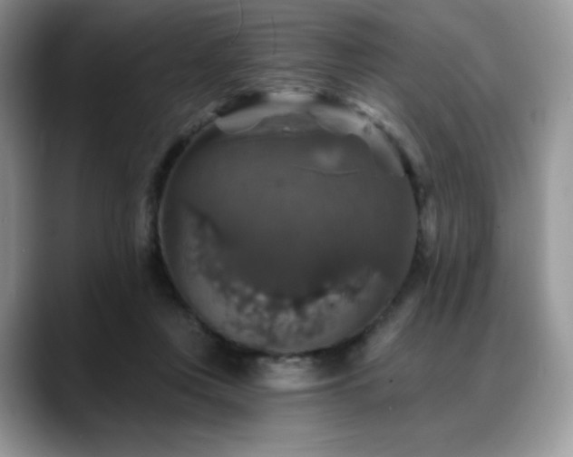 X0000088850359200706081139