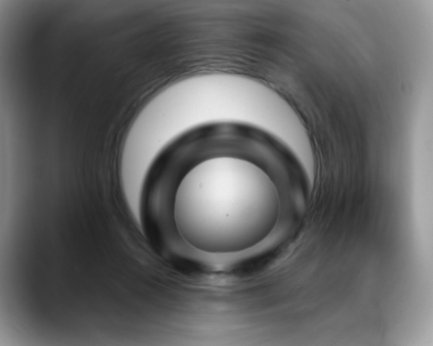 X0000088850360200706081139