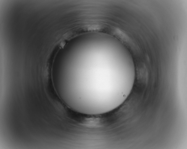 X0000088850362200706081139