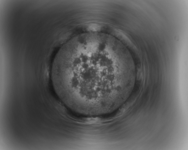 X0000088850363200706081139