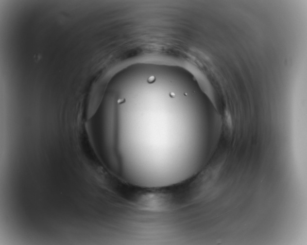 X0000088850364200706081139