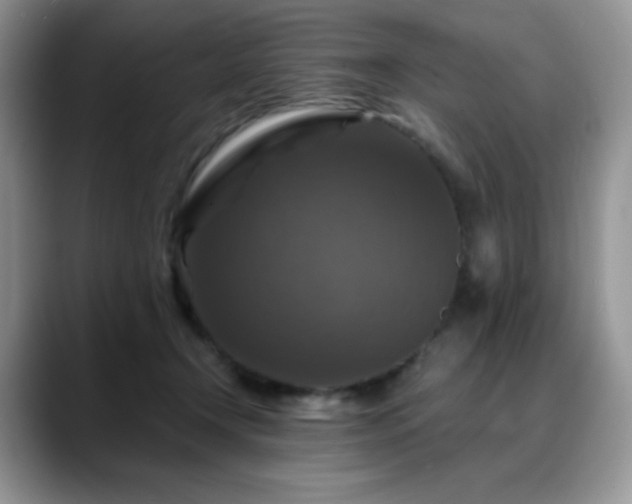 X0000088850366200706081139