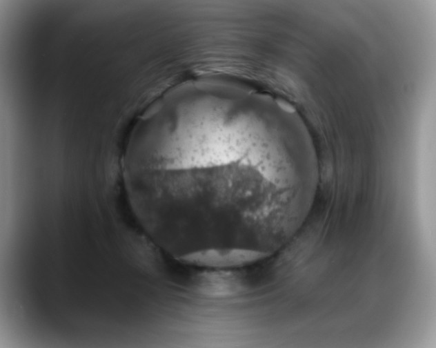 X0000088850367200706081139